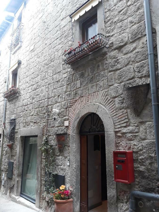 La Tana Del Bruco Guest House Viterbo Exterior photo